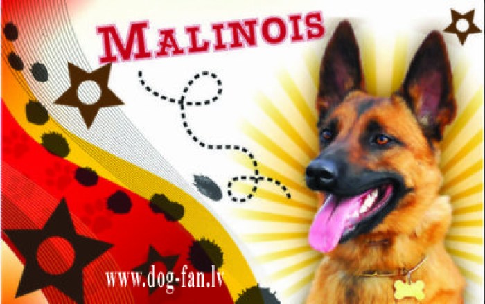 Малинуа магнит