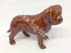 Bordo_dogge-1